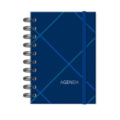 Agenda 2024 Diária Quadriculado Azul Média