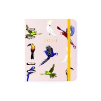 Pássaros Espécies Rosa