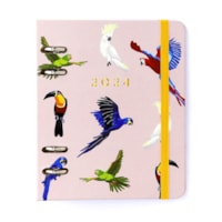 Pássaros Espécies Rosa