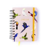 Pássaros Espécies Rosa