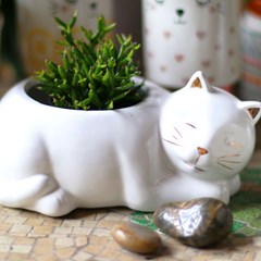 Cachepô de Porcelana Gato Branco Deitado