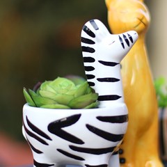 Cachepô em Cerâmica Zebra
