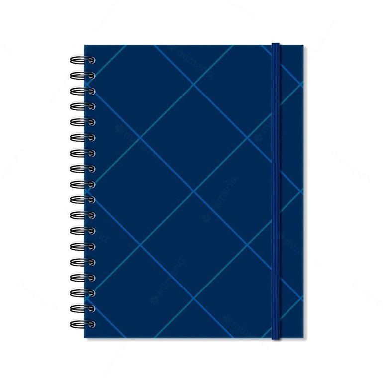 Caderno Colegial 1 Matéria Quadriculado Azul