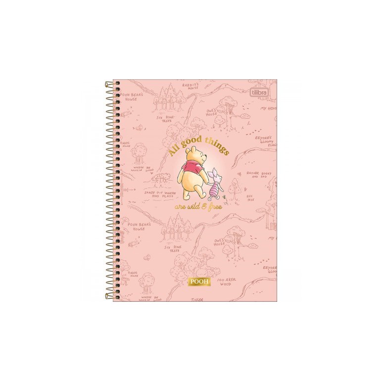 Caderno Colegial Pooh Rosa 80 Folhas
