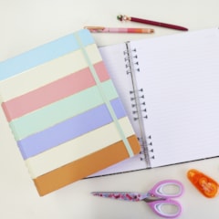 Caderno Organizador Duo Pautado & Pontado Pastel Block Sport Listras Grande