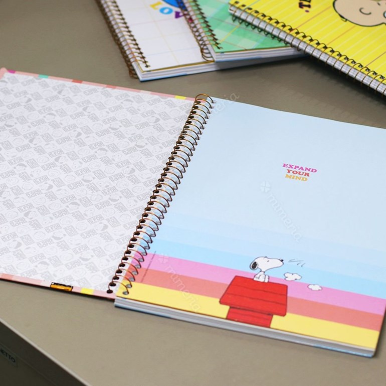 Caderno Universitário Snoopy Take Care