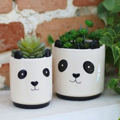 Conjunto de Cachepôs Panda e Pandinha