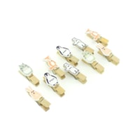 Bichinhos da Floresta