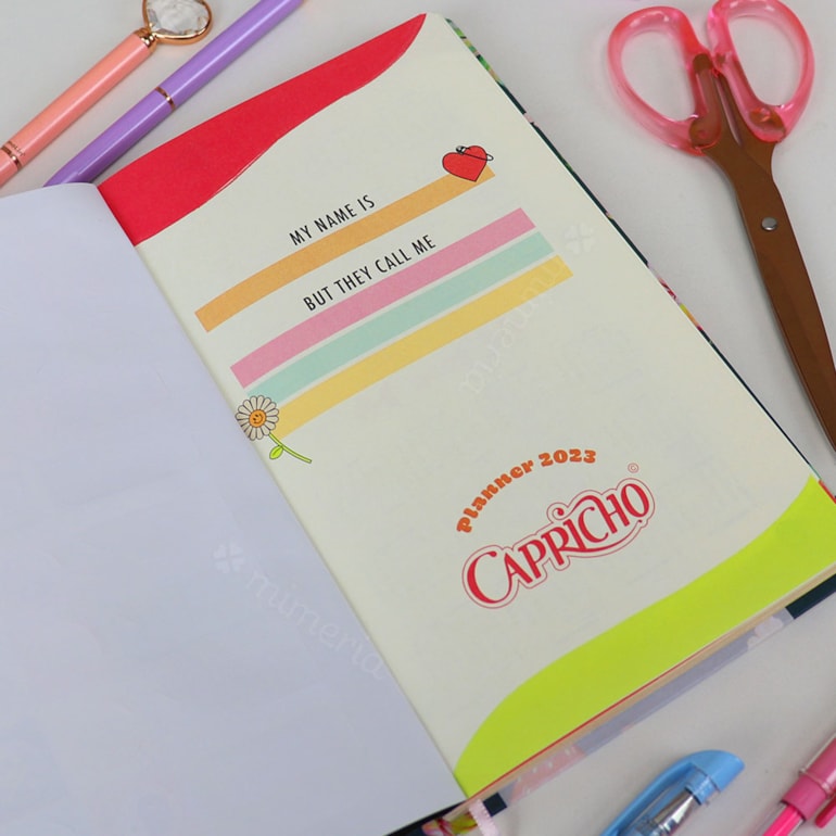 Planner Capricho Morangos