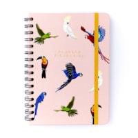 Pássaros Espécies Rosa